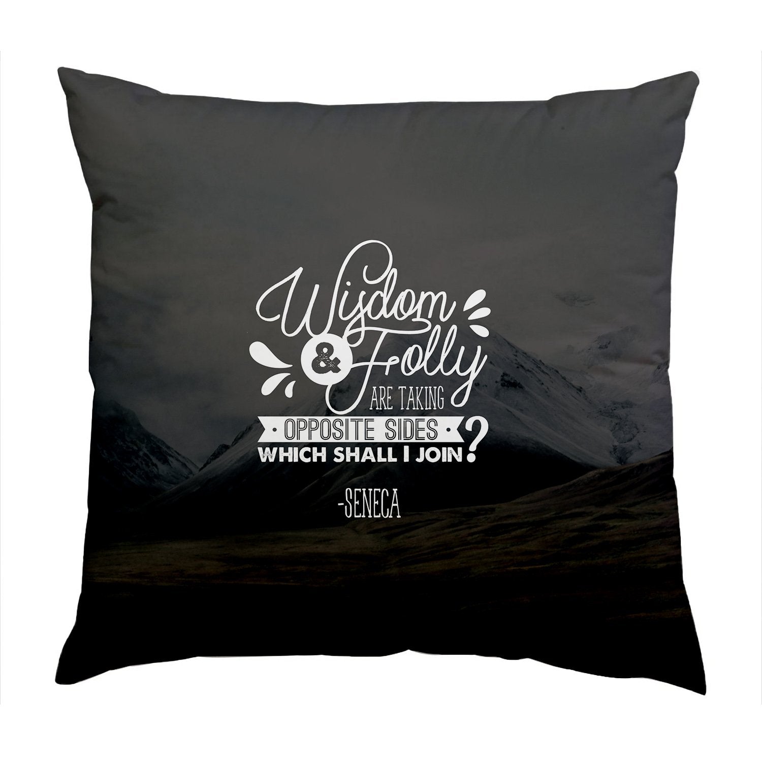 Wisdom & Folly Cushion